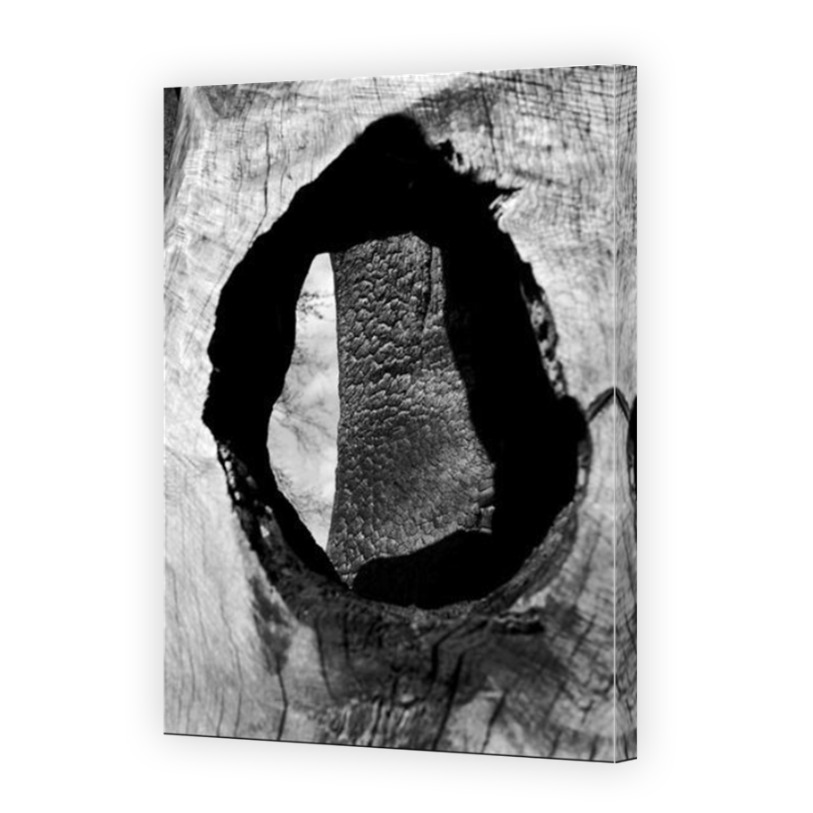 Thumbnail for Canvas - Mirror Image Canvas Wrap