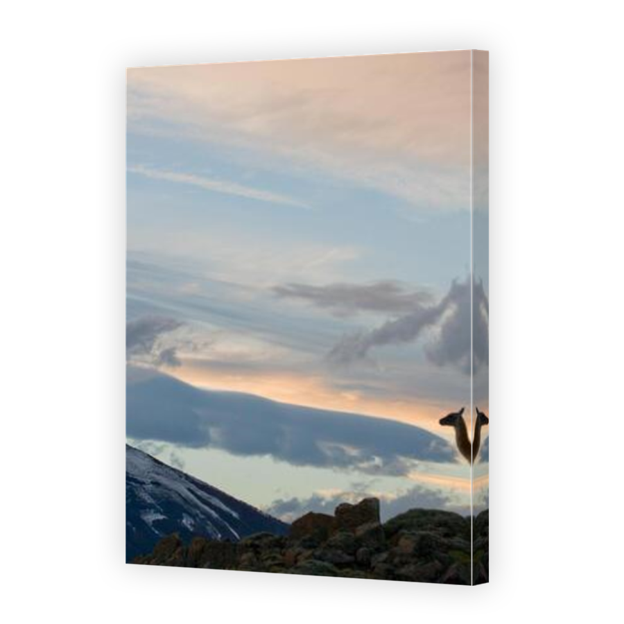 Thumbnail for Canvas - Mirror Image Canvas Wrap
