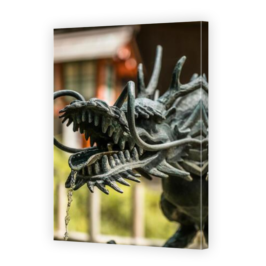 Thumbnail for Canvas - Mirror Image Canvas Wrap