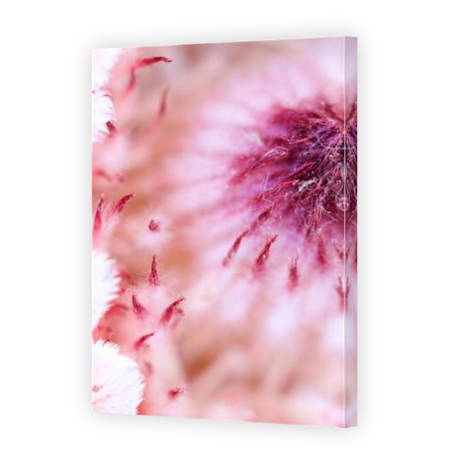 Thumbnail for Canvas - Mirror Image Canvas Wrap