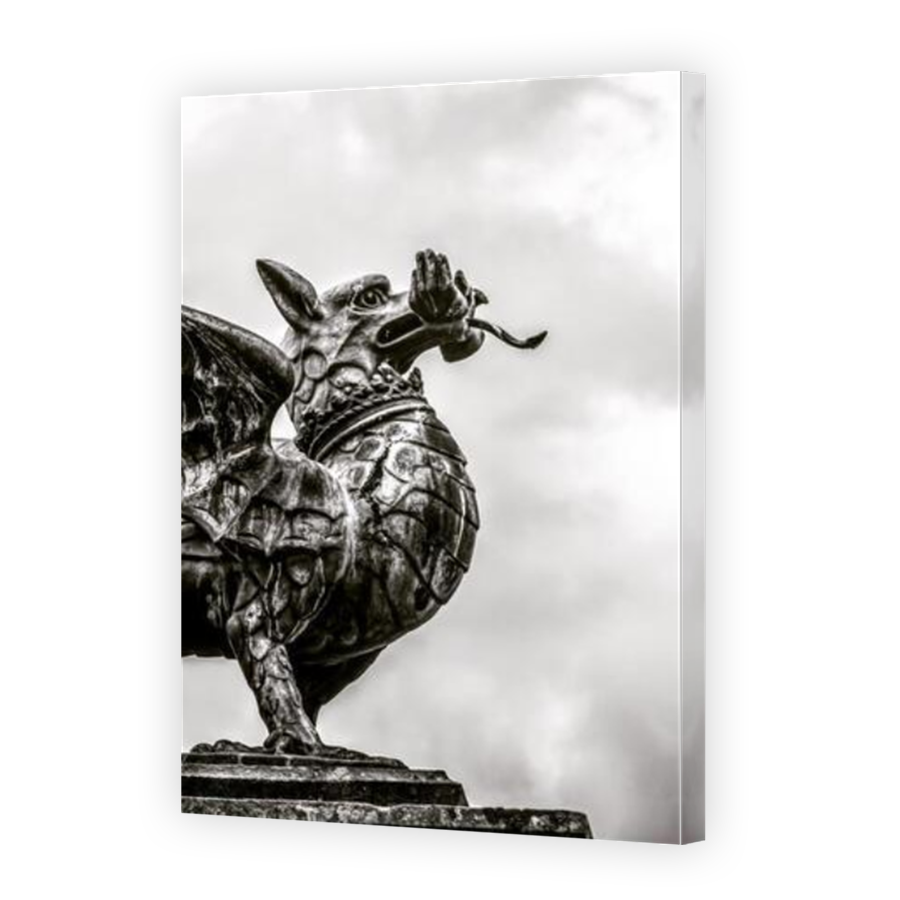 Thumbnail for Canvas - Mirror Image Canvas Wrap