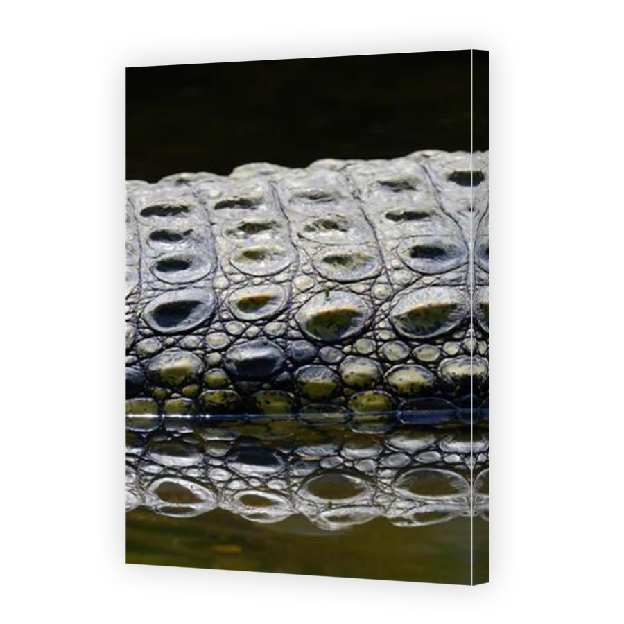 Thumbnail for Canvas - Mirror Image Canvas Wrap