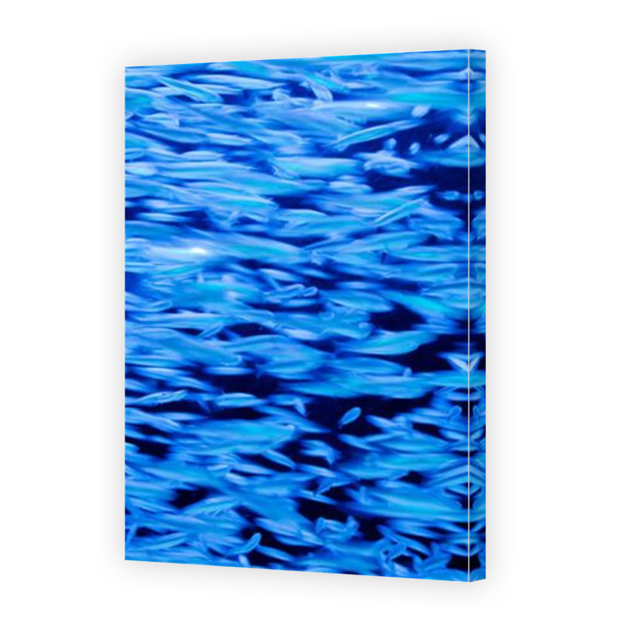 Thumbnail for Canvas - Mirror Image Canvas Wrap