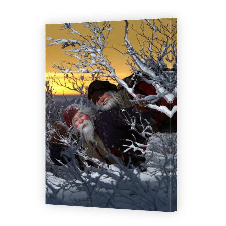 Thumbnail for Canvas - Mirror Image Canvas Wrap