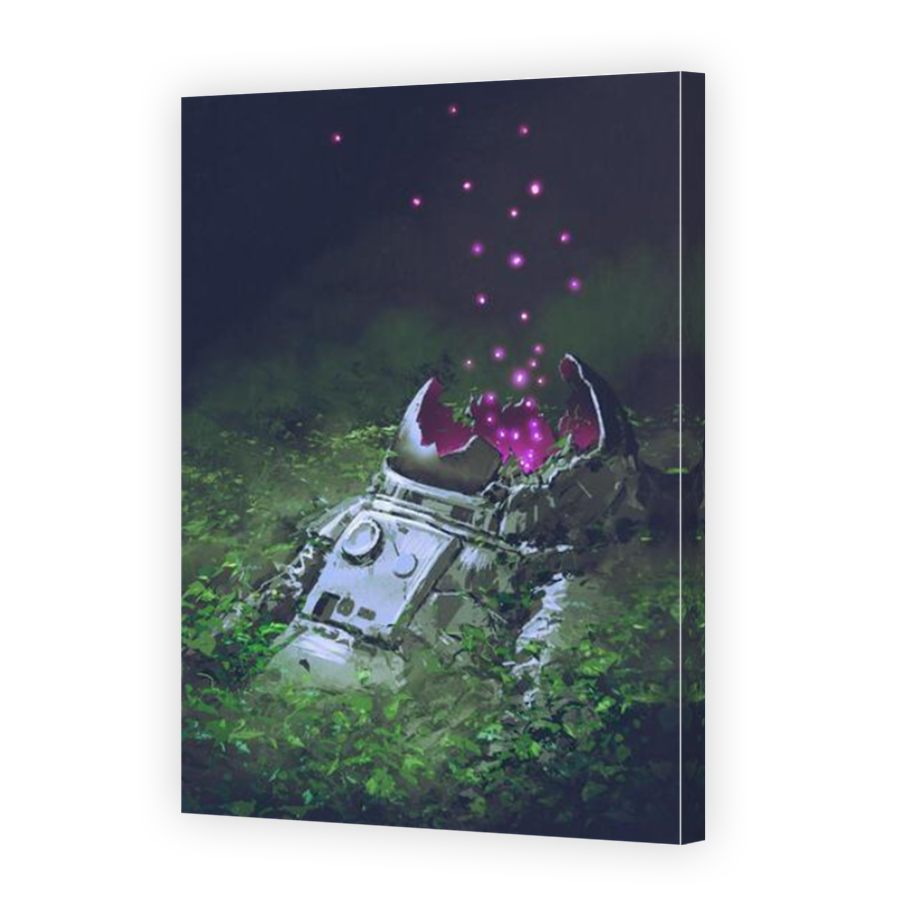 Thumbnail for Canvas - Mirror Image Canvas Wrap