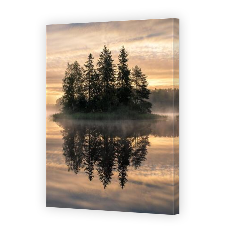 Thumbnail for Canvas - Mirror Image Canvas Wrap
