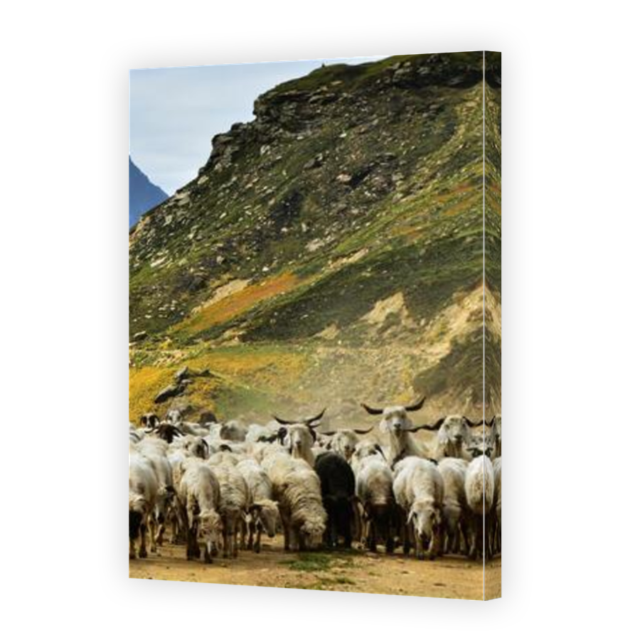 Thumbnail for Canvas - Mirror Image Canvas Wrap