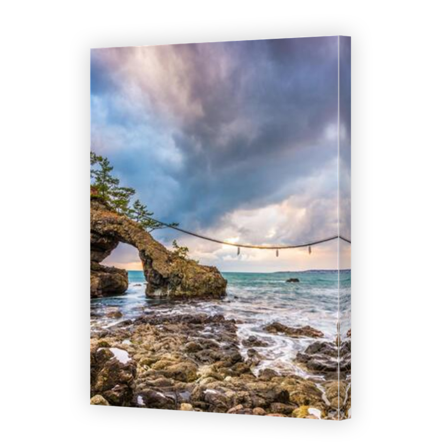 Thumbnail for Canvas - Mirror Image Canvas Wrap