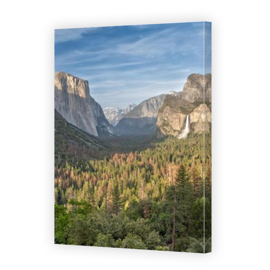 Thumbnail for Canvas - Mirror Image Canvas Wrap