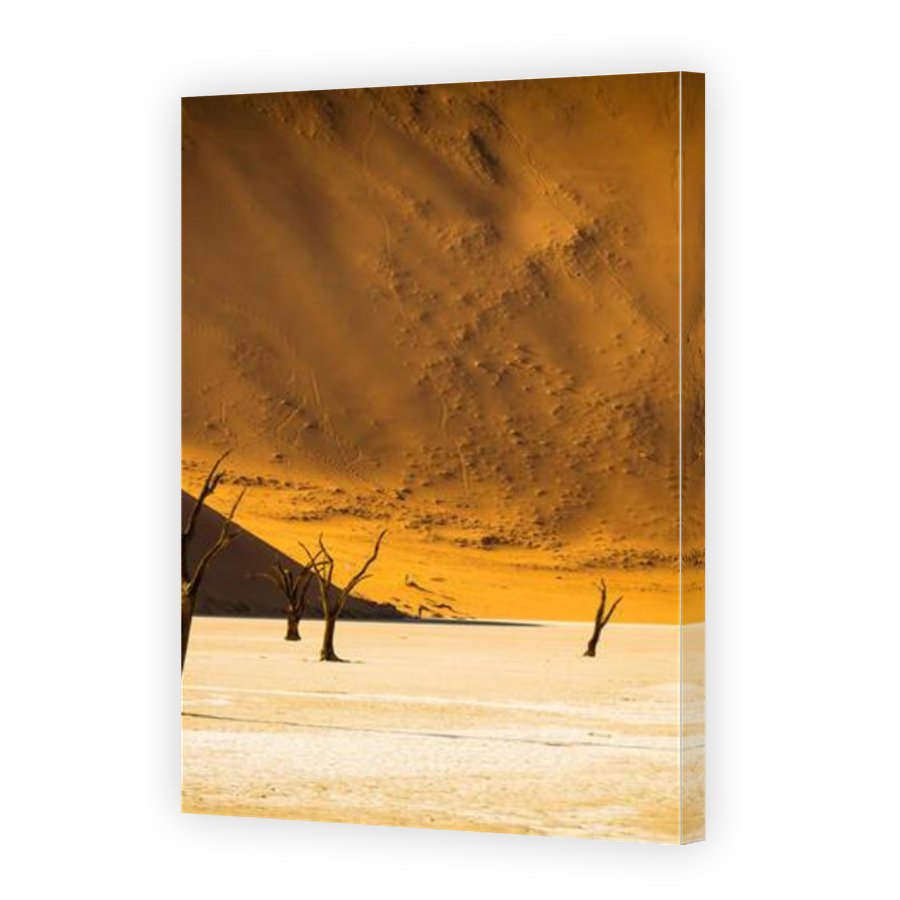 Thumbnail for Canvas - Mirror Image Canvas Wrap