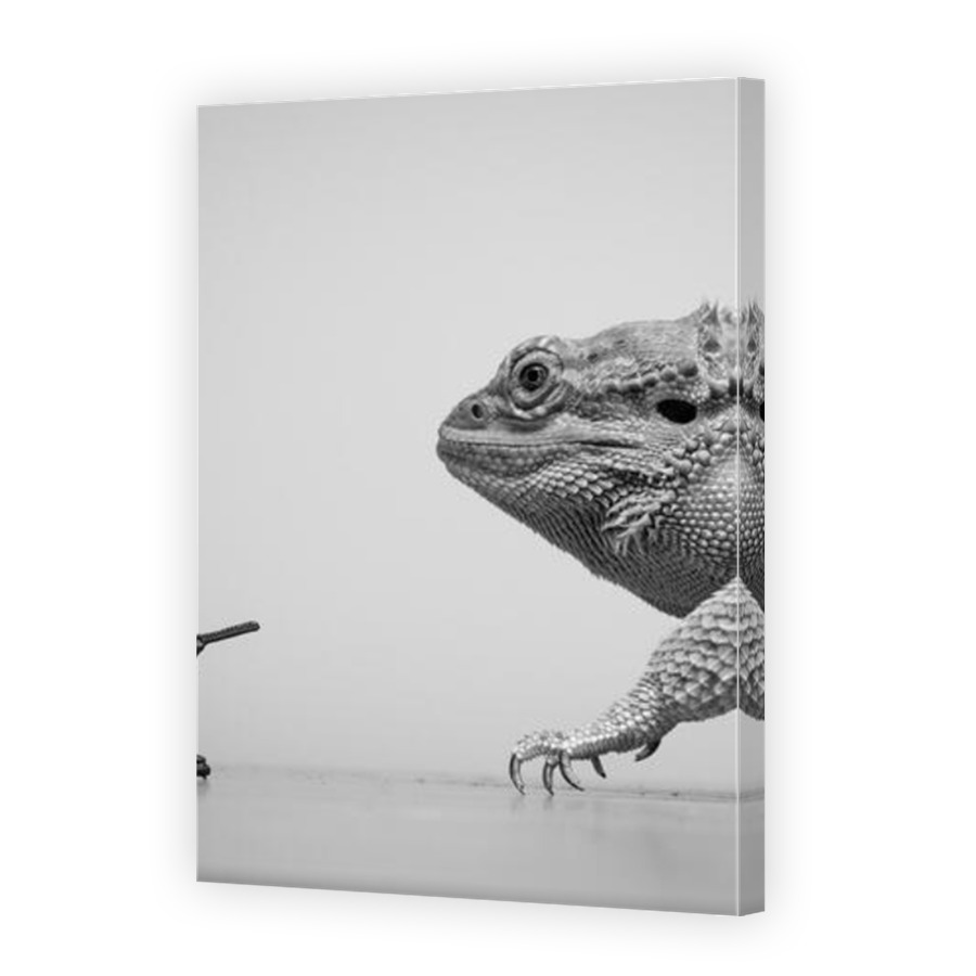 Thumbnail for Canvas - Mirror Image Canvas Wrap