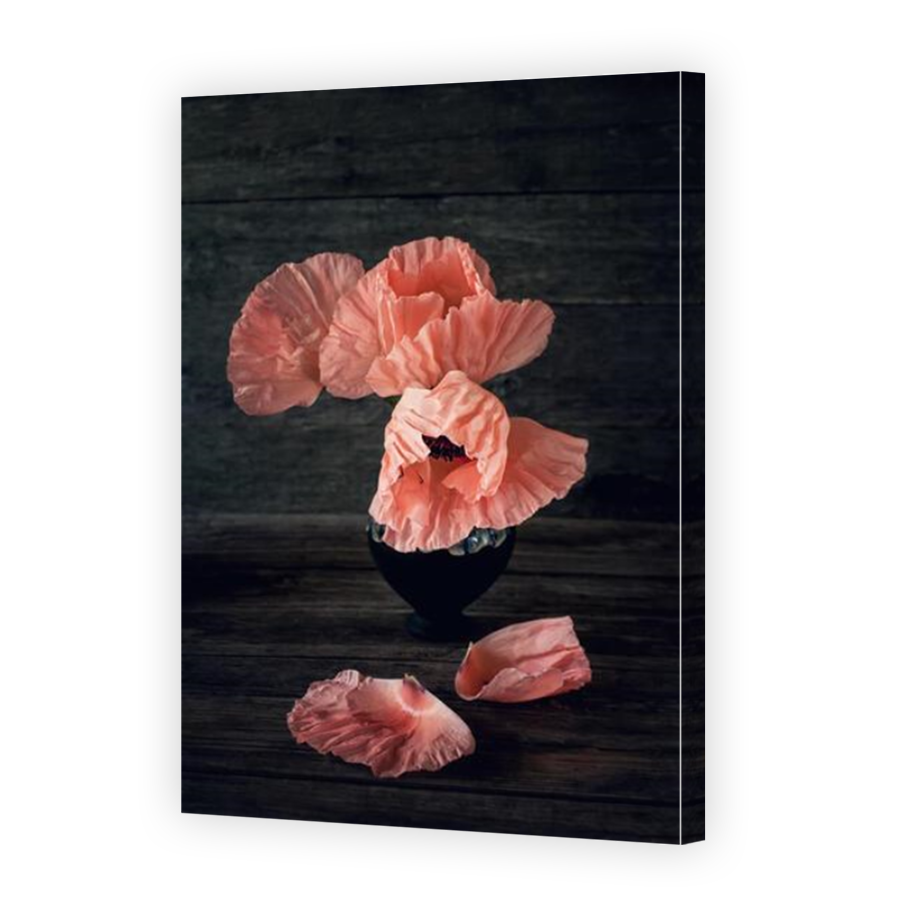 Thumbnail for Canvas - Mirror Image Canvas Wrap
