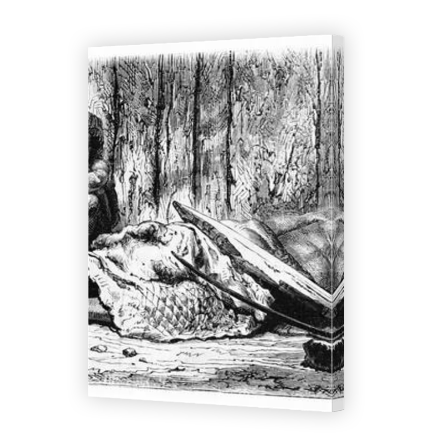 Thumbnail for Canvas - Mirror Image Canvas Wrap
