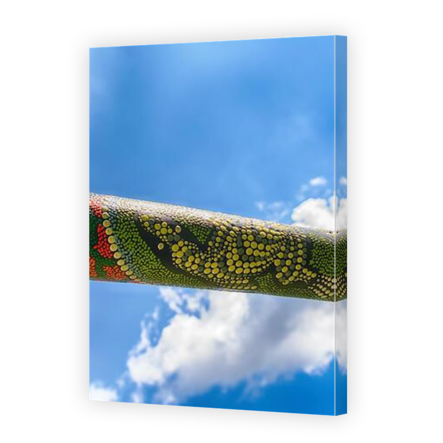 Thumbnail for Canvas - Mirror Image Canvas Wrap