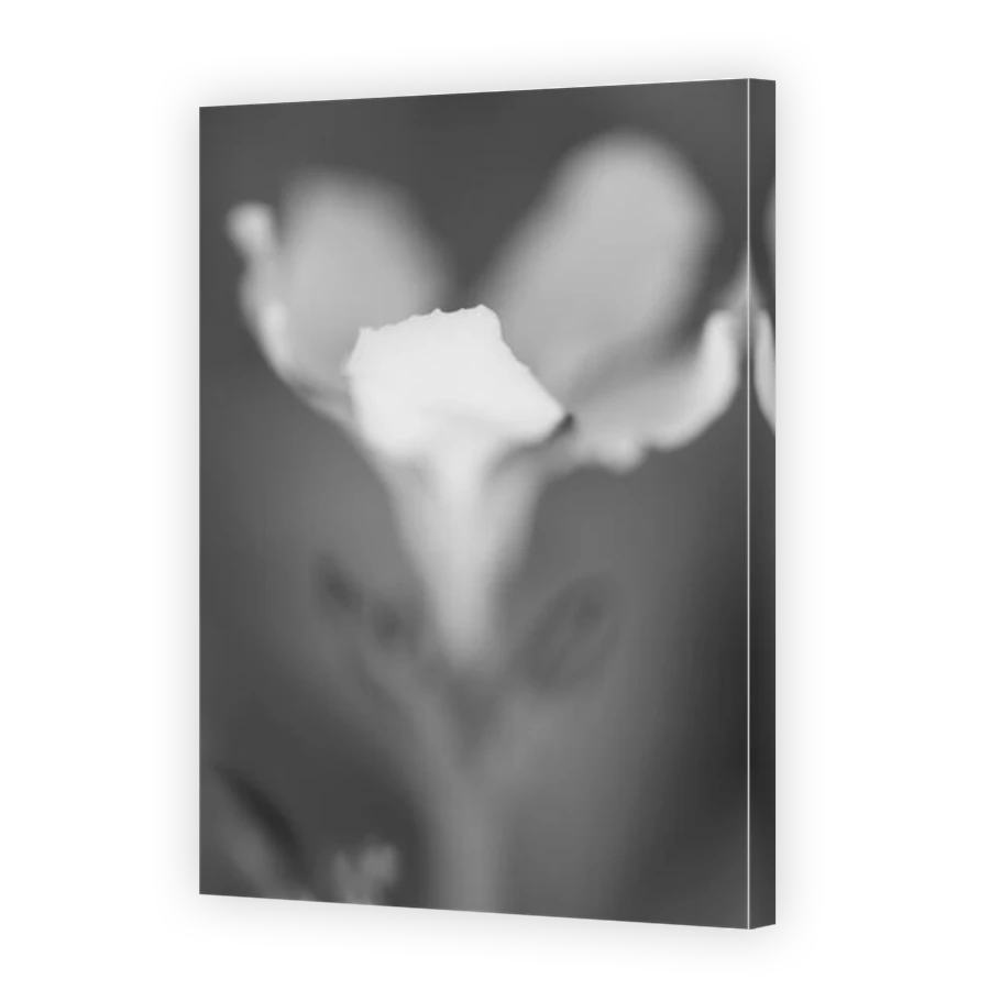 Thumbnail for Canvas - Mirror Image Canvas Wrap