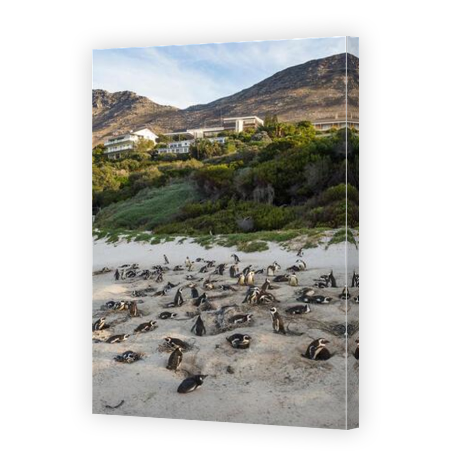 Thumbnail for Canvas - Mirror Image Canvas Wrap
