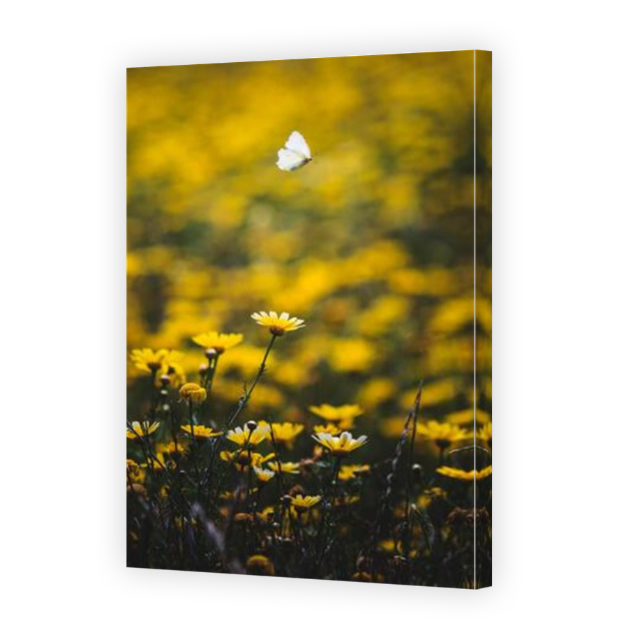 Thumbnail for Canvas - Mirror Image Canvas Wrap