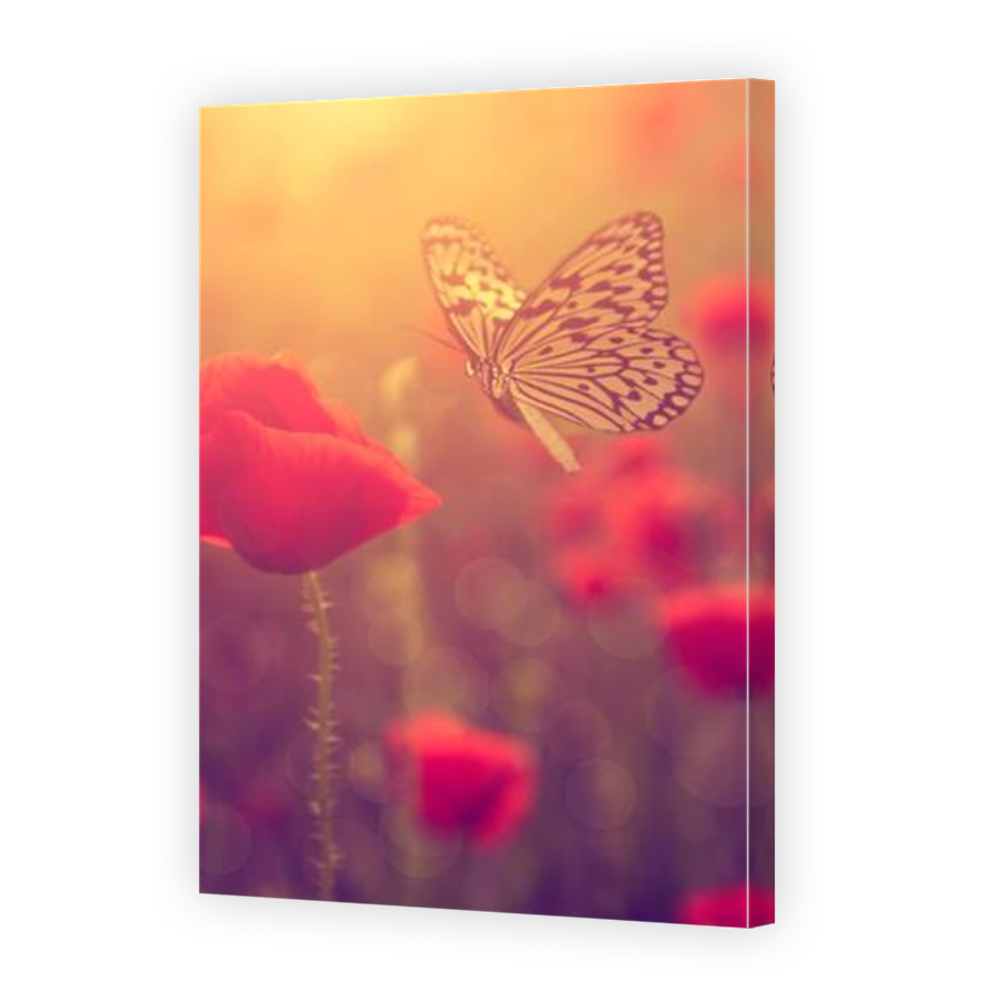 Thumbnail for Canvas - Mirror Image Canvas Wrap
