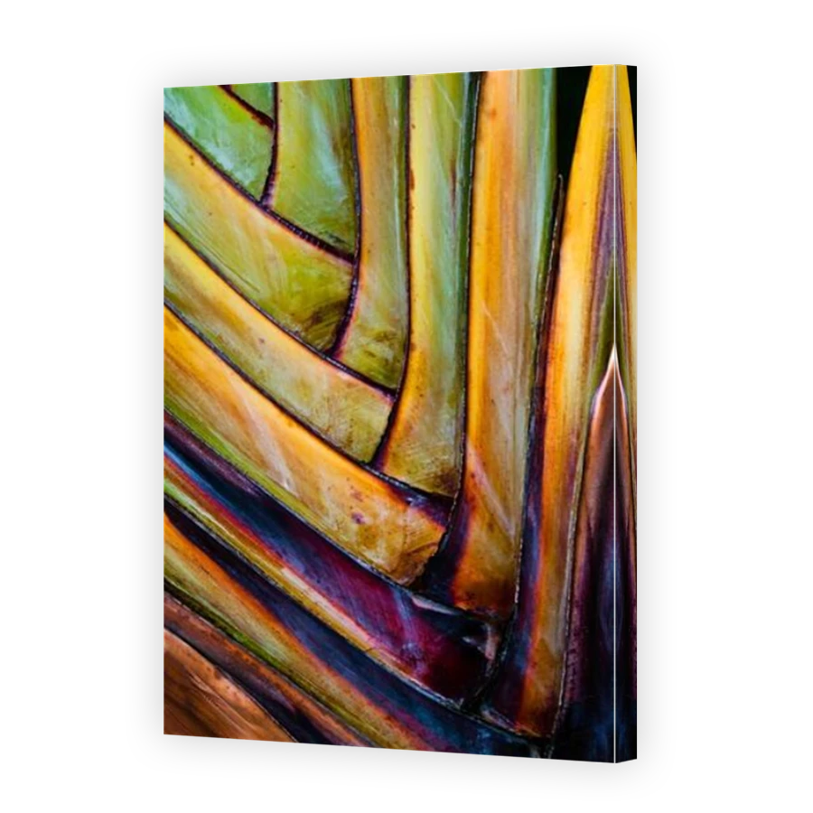 Thumbnail for Canvas - Mirror Image Canvas Wrap