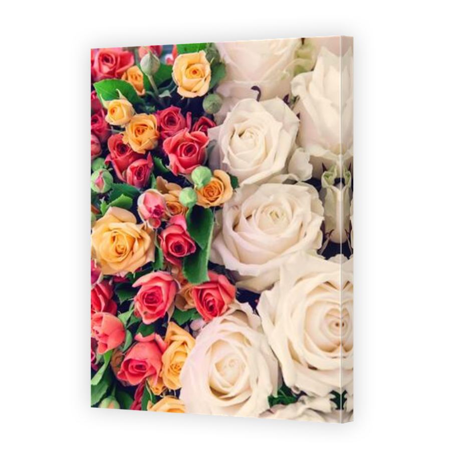 Thumbnail for Canvas - Mirror Image Canvas Wrap