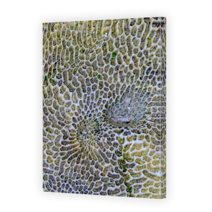 Thumbnail for Canvas - Mirror Image Canvas Wrap