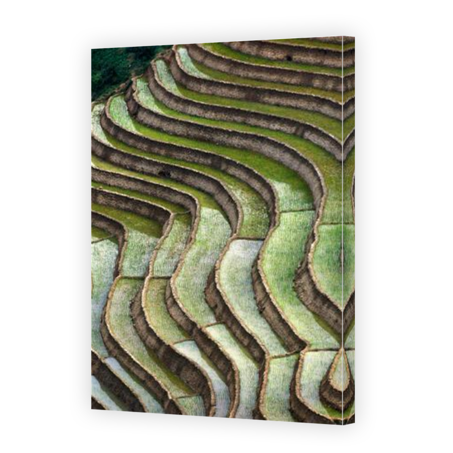 Thumbnail for Canvas - Mirror Image Canvas Wrap