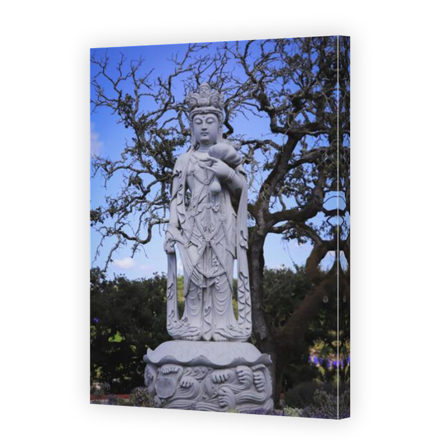Thumbnail for Canvas - Mirror Image Canvas Wrap