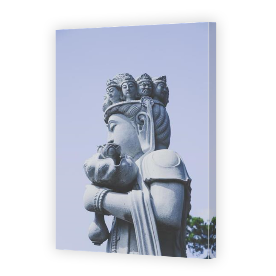 Thumbnail for Canvas - Mirror Image Canvas Wrap