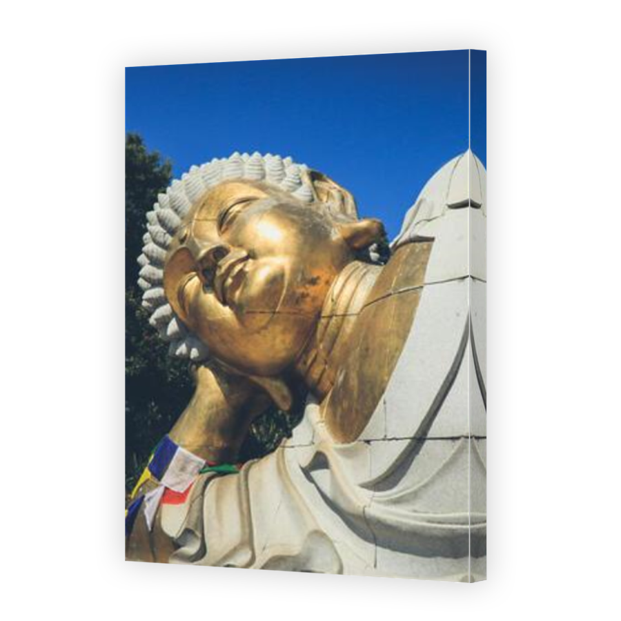 Thumbnail for Canvas - Mirror Image Canvas Wrap