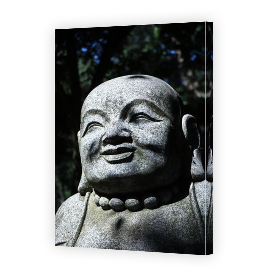 Thumbnail for Canvas - Mirror Image Canvas Wrap