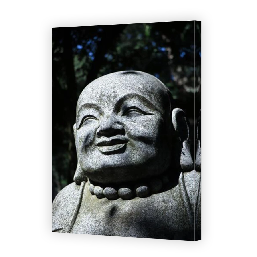 Thumbnail for Canvas - Mirror Image Canvas Wrap