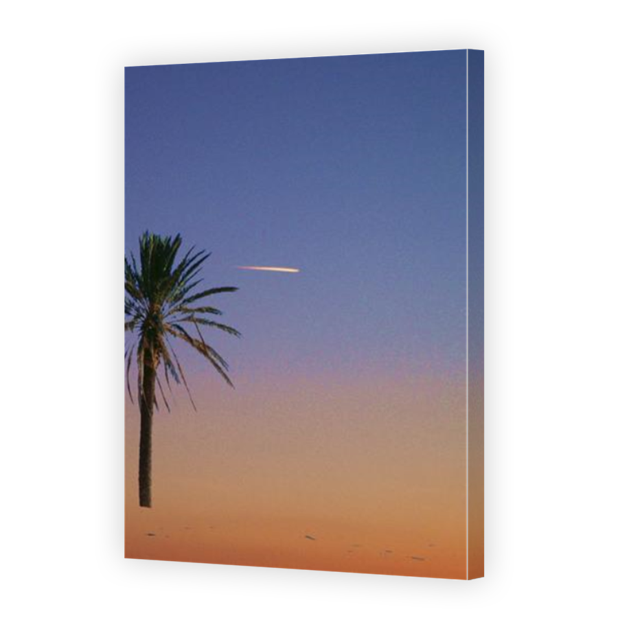 Thumbnail for Canvas - Mirror Image Canvas Wrap