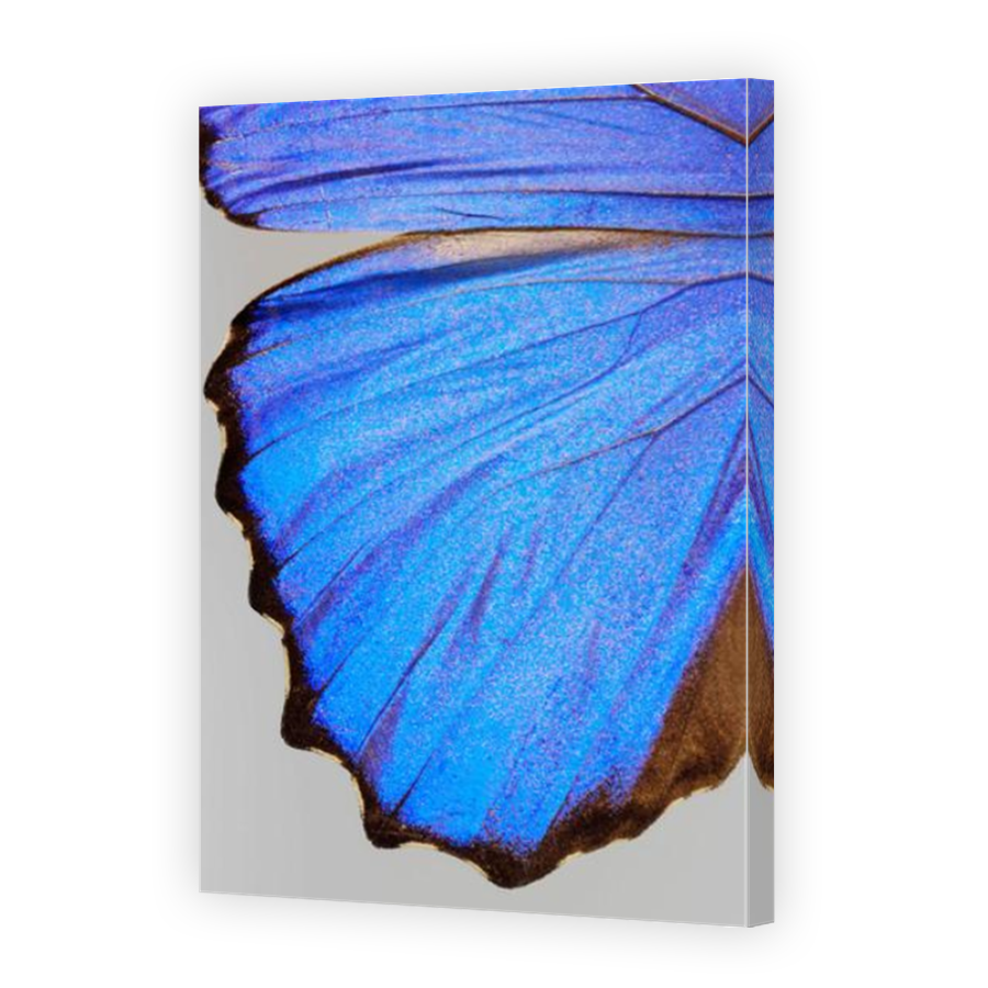 Thumbnail for Canvas - Mirror Image Canvas Wrap