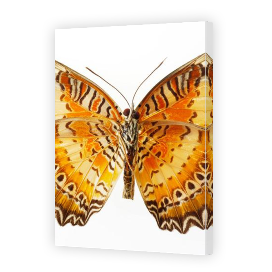 Thumbnail for Canvas - Mirror Image Canvas Wrap