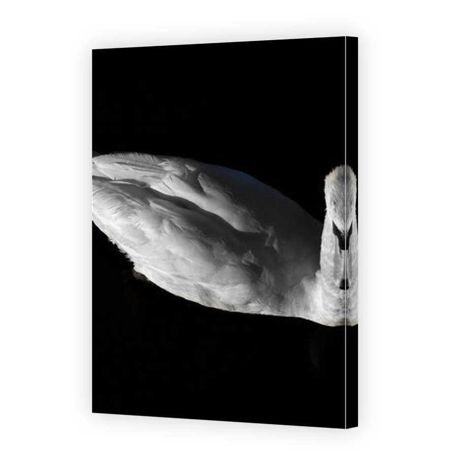 Thumbnail for Canvas - Mirror Image Canvas Wrap