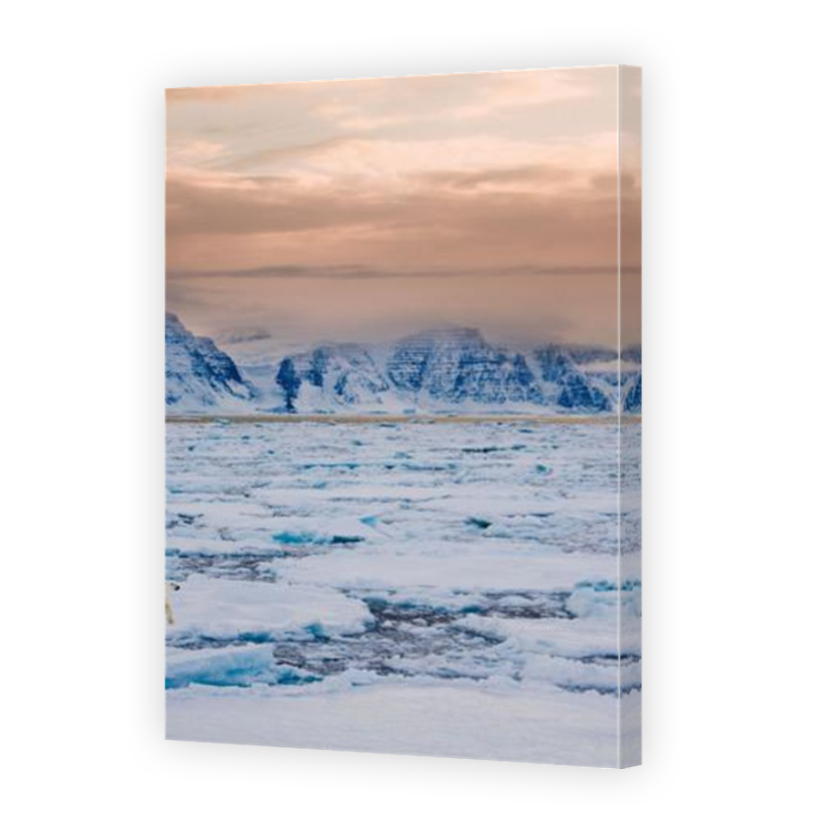 Thumbnail for Canvas - Mirror Image Canvas Wrap