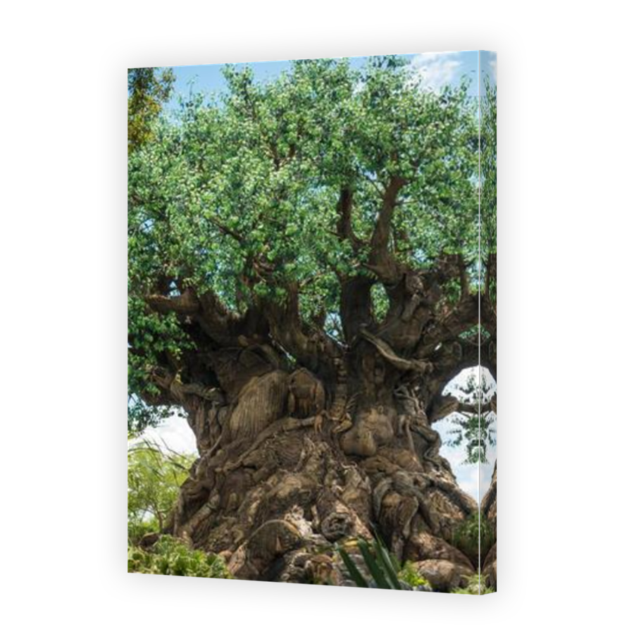 Thumbnail for Canvas - Mirror Image Canvas Wrap