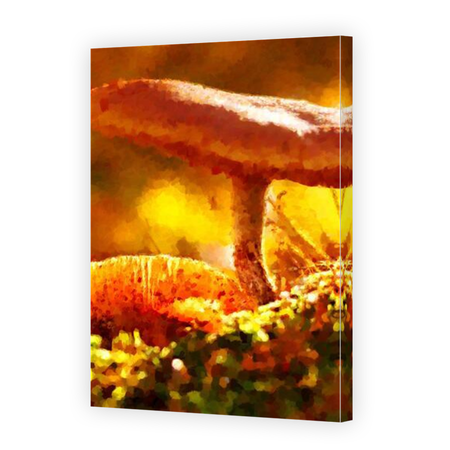 Thumbnail for Canvas - Mirror Image Canvas Wrap