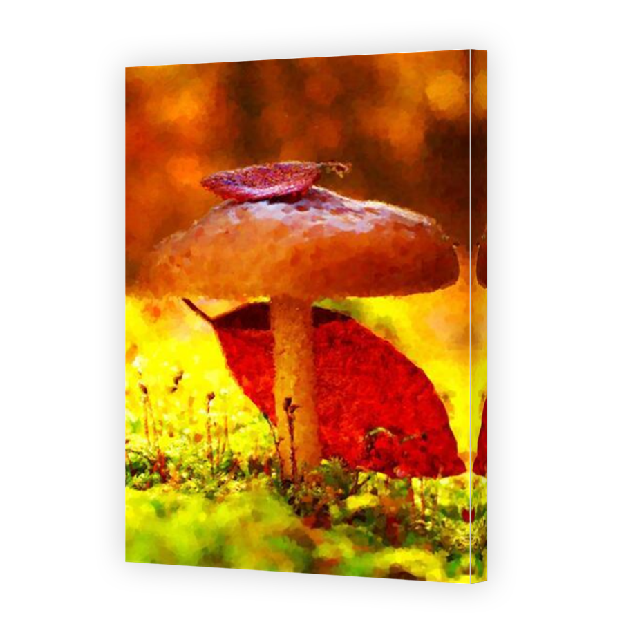 Thumbnail for Canvas - Mirror Image Canvas Wrap