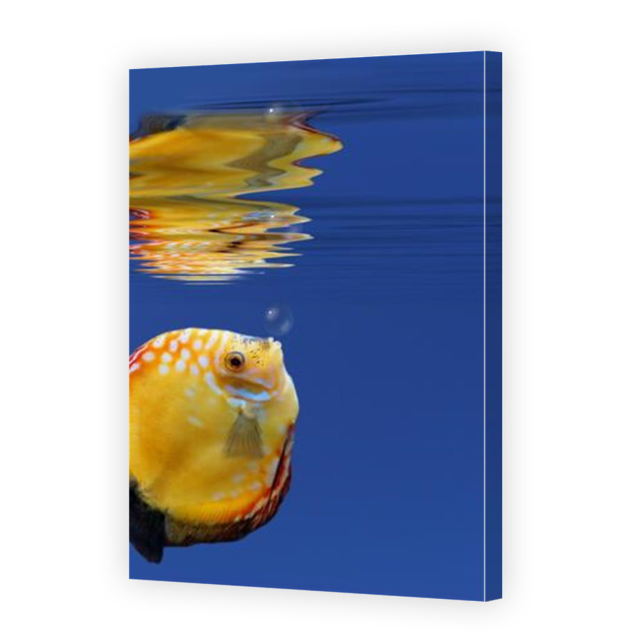 Thumbnail for Canvas - Mirror Image Canvas Wrap