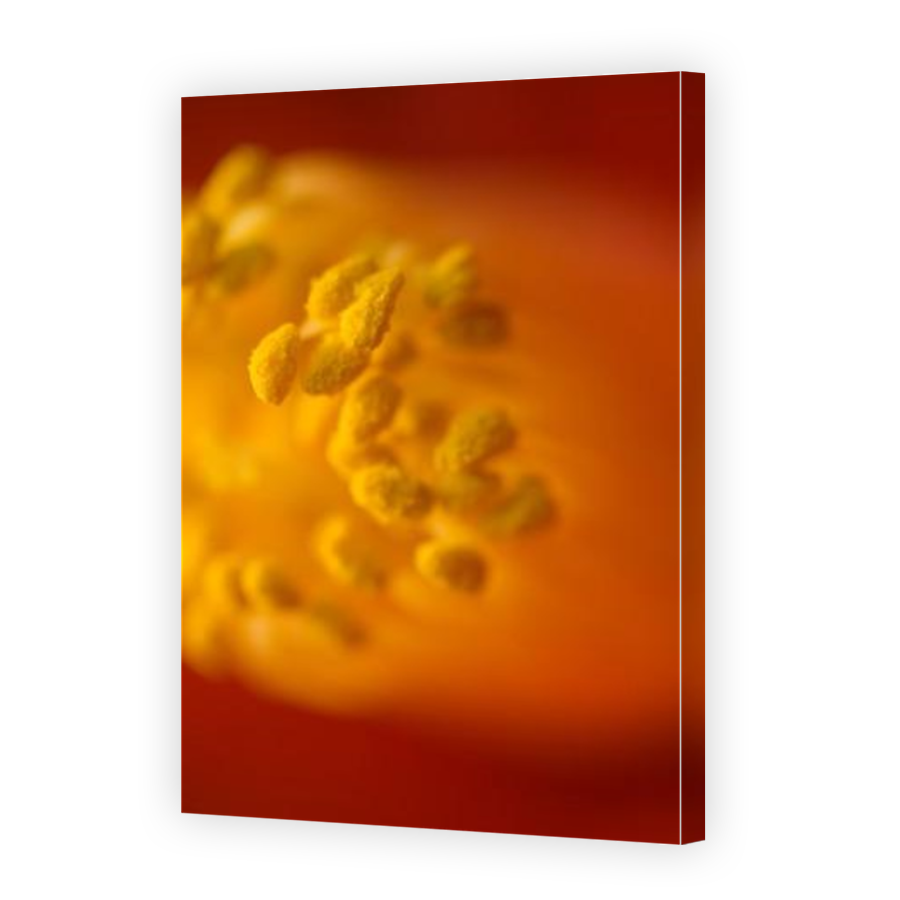 Thumbnail for Canvas - Mirror Image Canvas Wrap