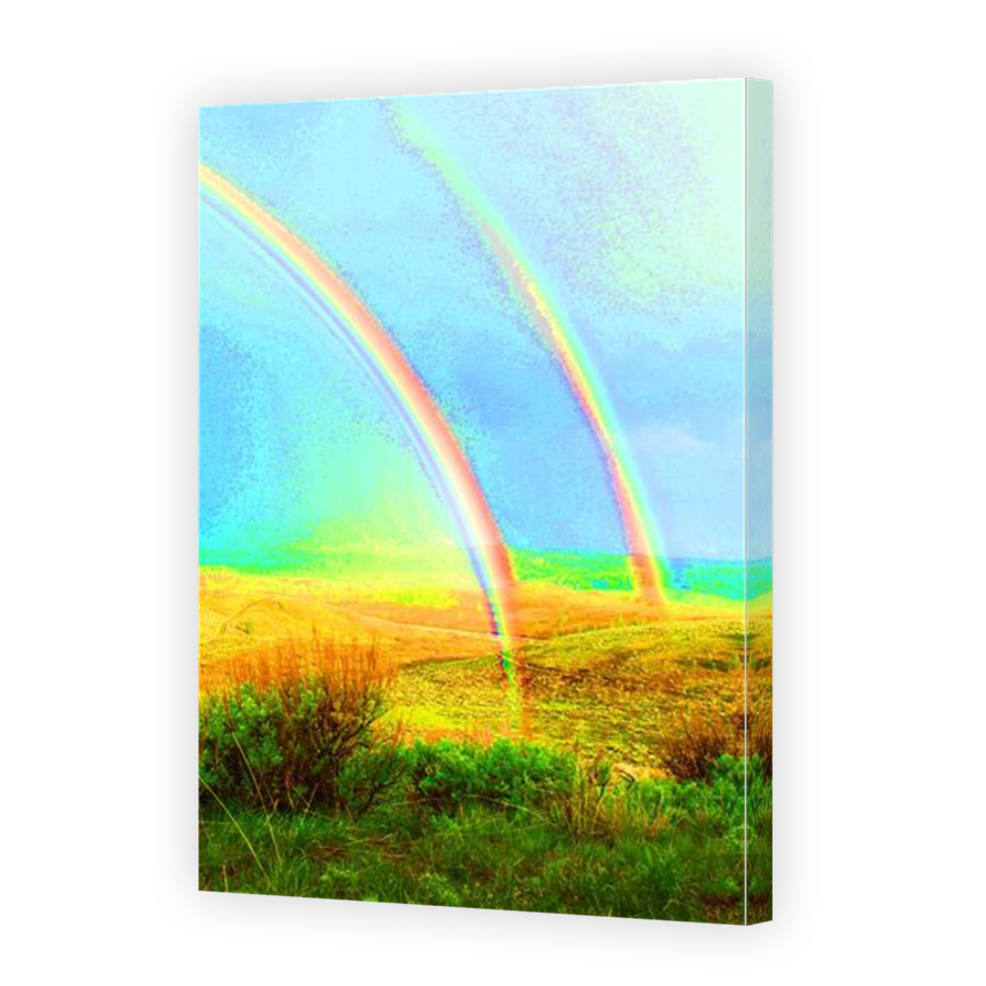 Thumbnail for Canvas - Mirror Image Canvas Wrap