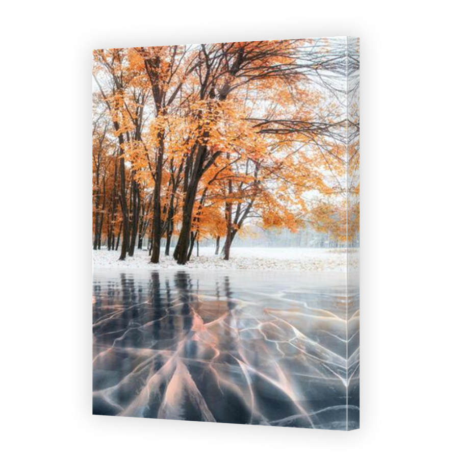 Thumbnail for Canvas - Mirror Image Canvas Wrap