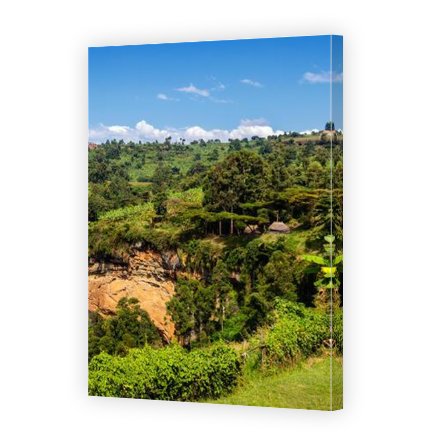 Thumbnail for Canvas - Mirror Image Canvas Wrap
