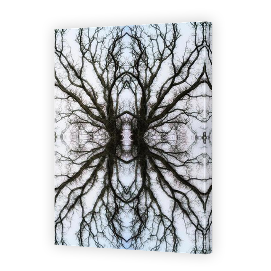Thumbnail for Canvas - Mirror Image Canvas Wrap