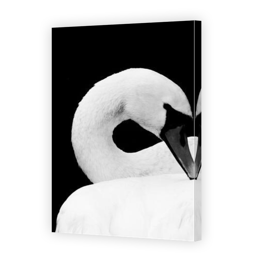 Thumbnail for Canvas - Mirror Image Canvas Wrap