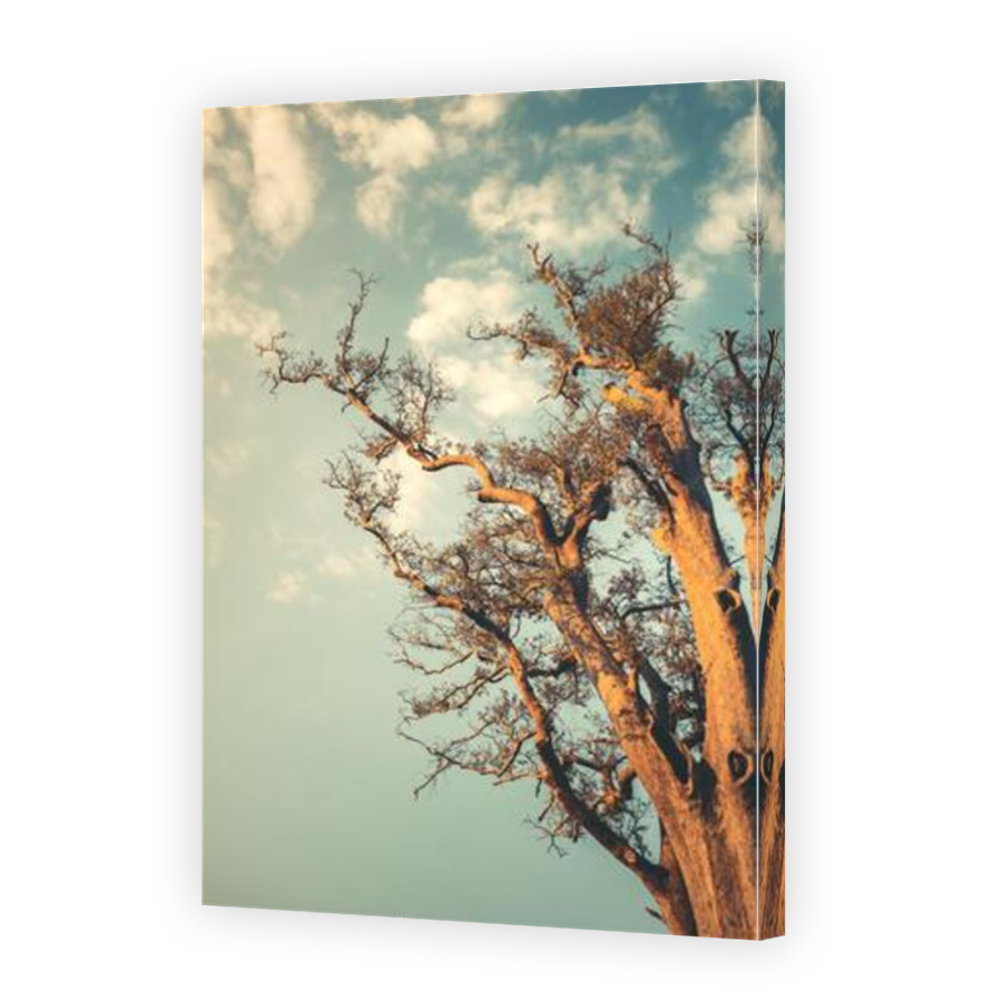 Thumbnail for Canvas - Mirror Image Canvas Wrap