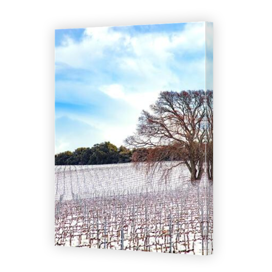 Thumbnail for Canvas - Mirror Image Canvas Wrap