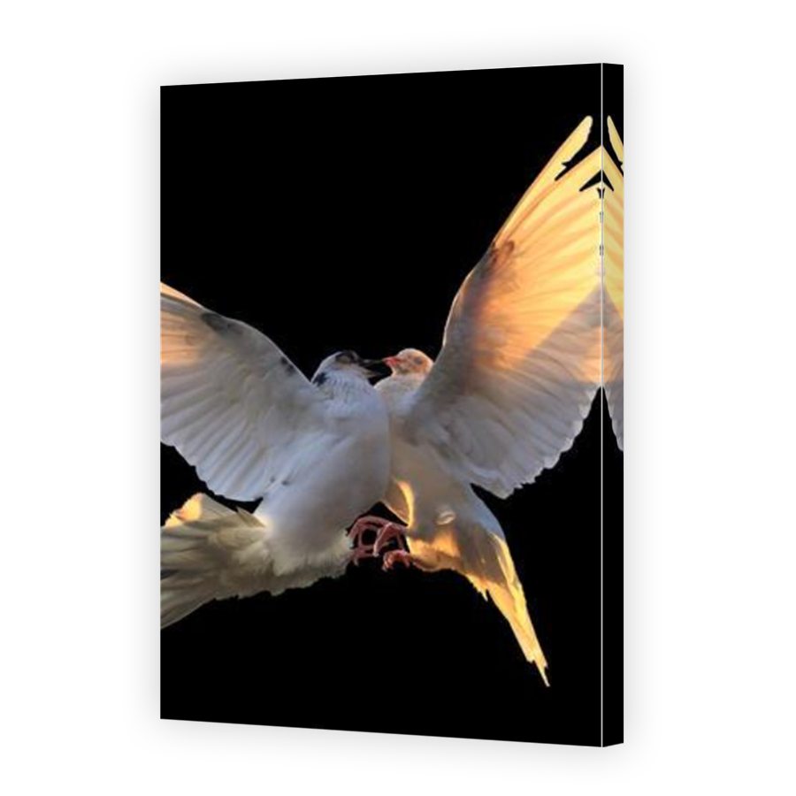 Thumbnail for Canvas - Mirror Image Canvas Wrap