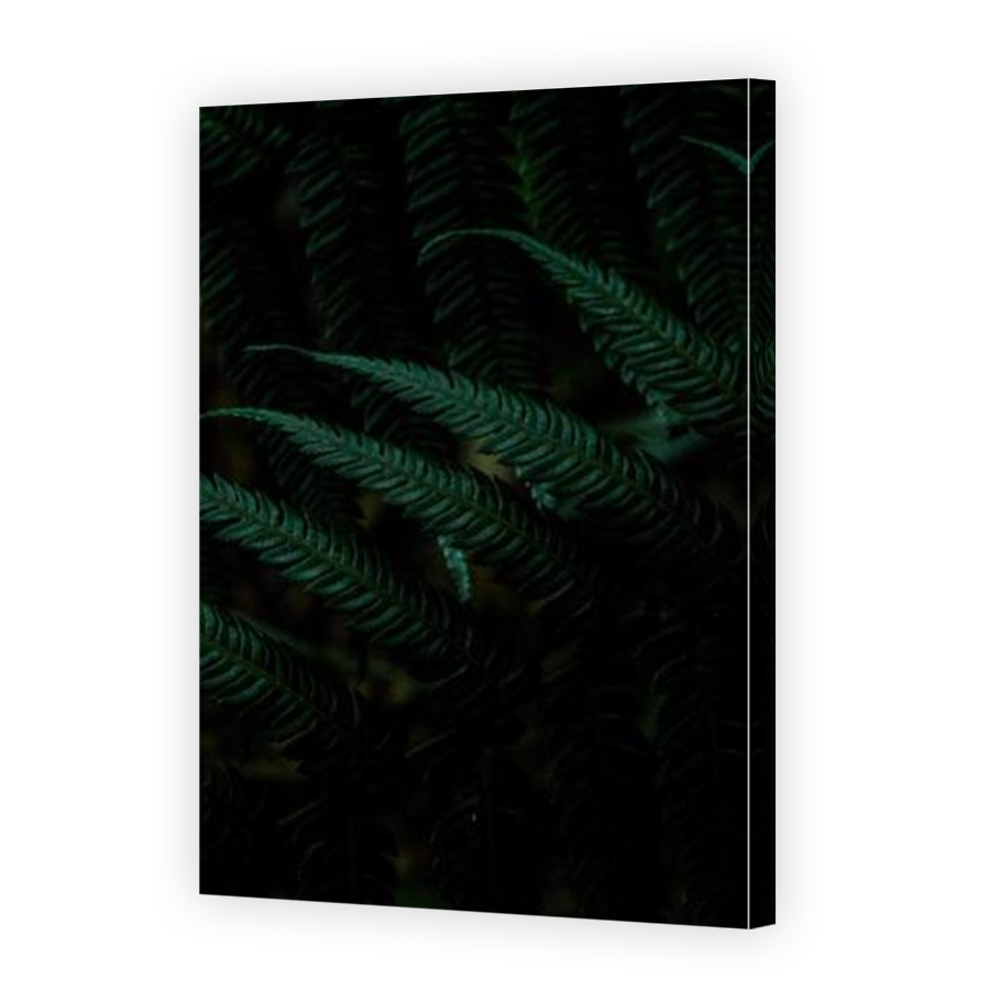 Thumbnail for Canvas - Mirror Image Canvas Wrap